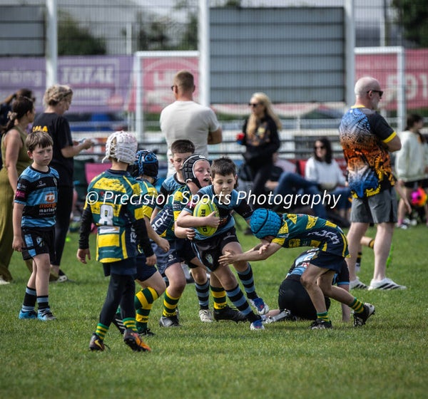 Wildboars Festival 26.4.26