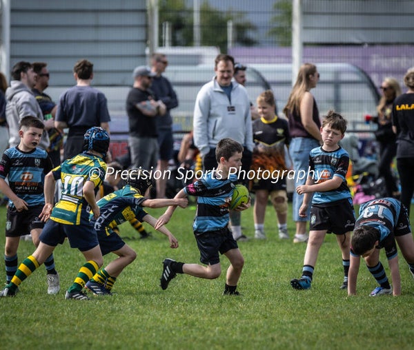 Wildboars Festival 26.4.26