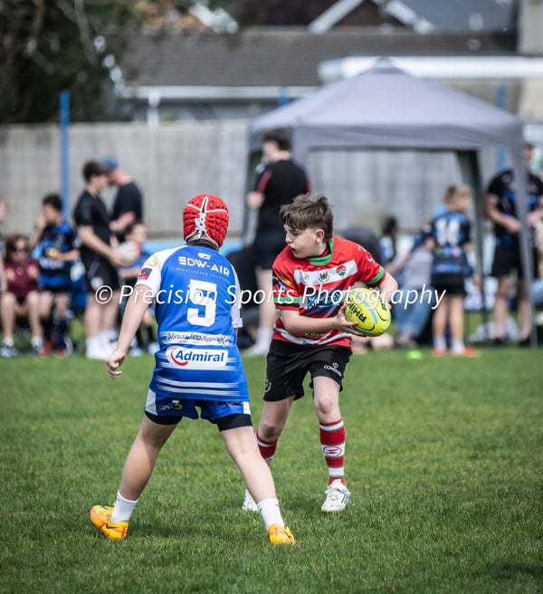 Wildboars Festival 26.4.26