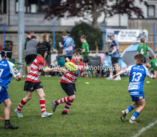 Wildboars Festival 26.4.26