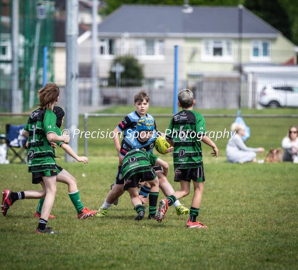 Wildboars Festival 26.4.26