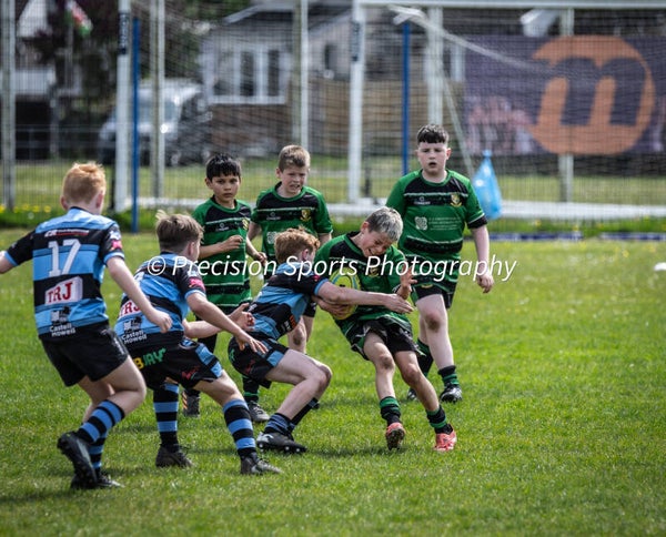 Wildboars Festival 26.4.26