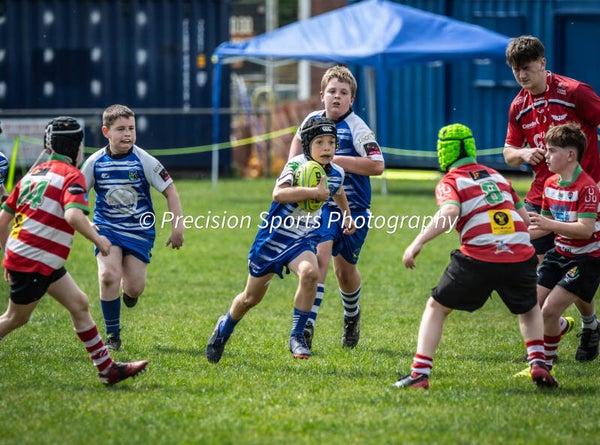 Wildboars Festival 26.4.26