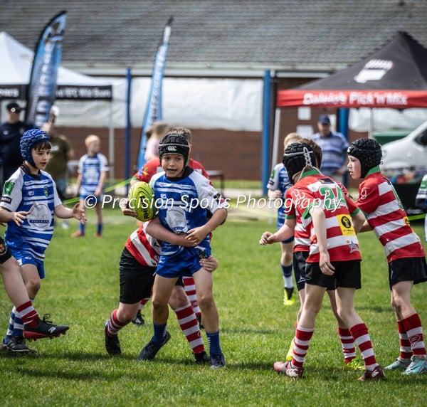 Wildboars Festival 26.4.26