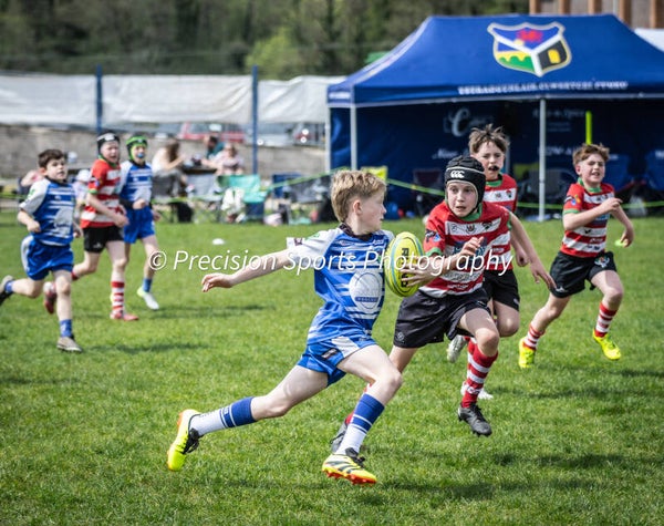 Wildboars Festival 26.4.26