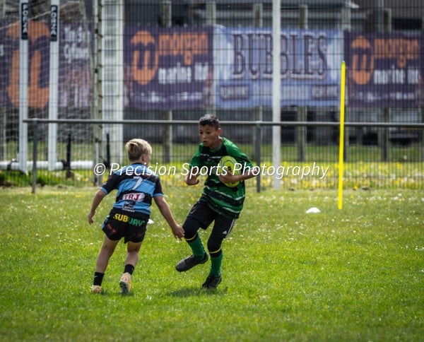 Wildboars Festival 26.4.26
