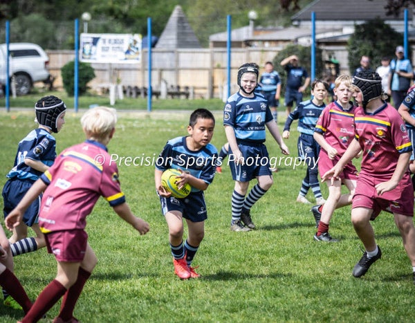 Wildboars Festival 26.4.26