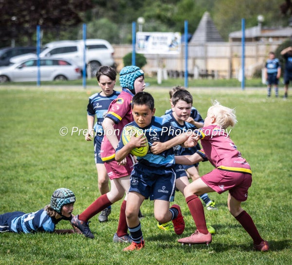 Wildboars Festival 26.4.26