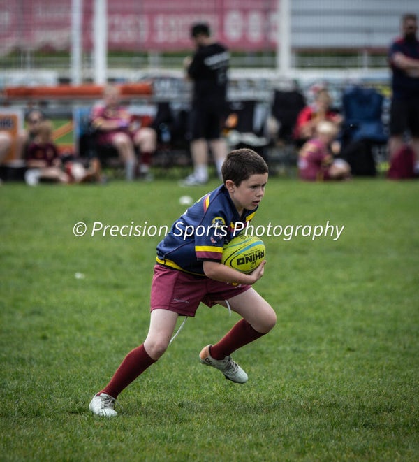 Wildboars Festival 26.4.26