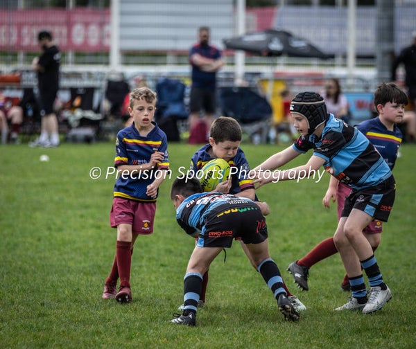 Wildboars Festival 26.4.26