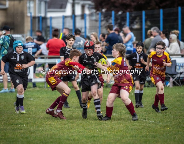 Wildboars Festival 26.4.26