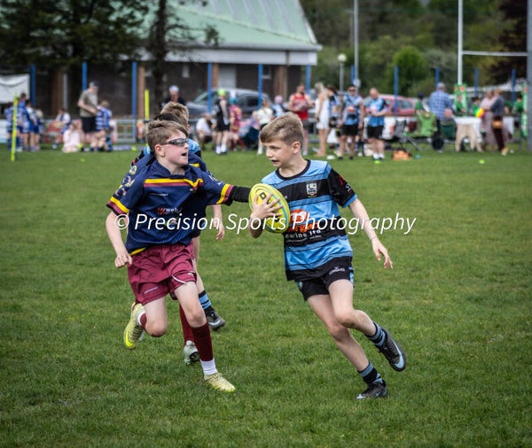 Wildboars Festival 26.4.26