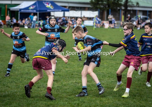 Wildboars Festival 26.4.26