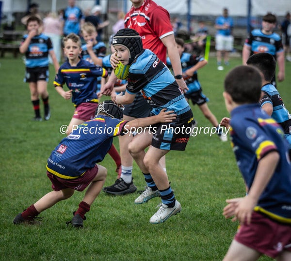 Wildboars Festival 26.4.26