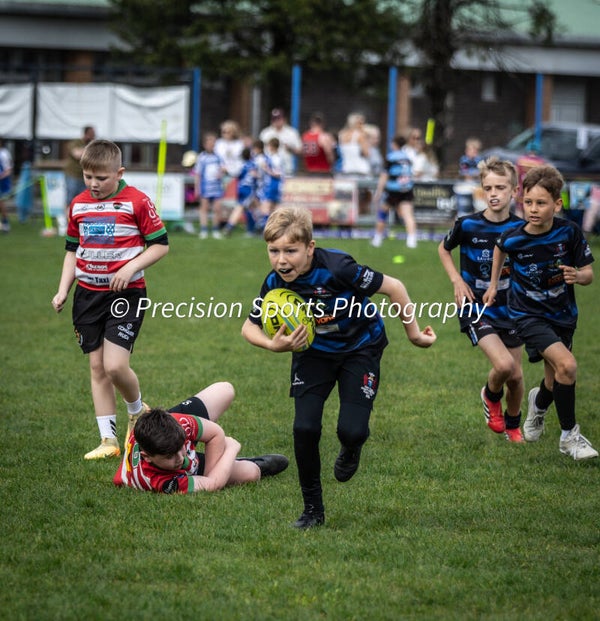 Wildboars Festival 26.4.26