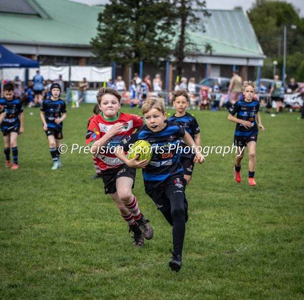 Wildboars Festival 26.4.26