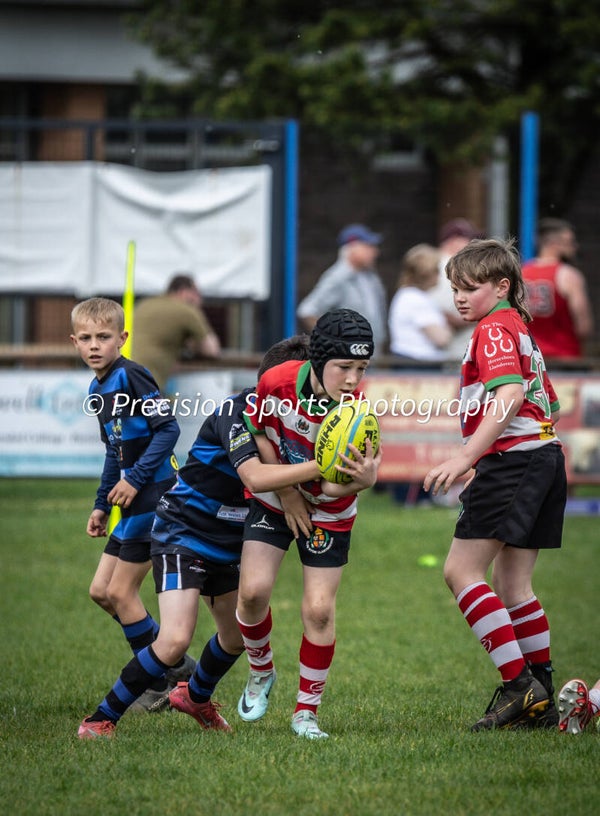 Wildboars Festival 26.4.26