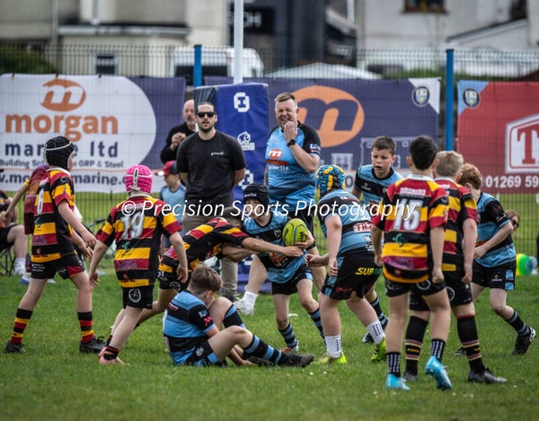 Wildboars Festival 26.4.26