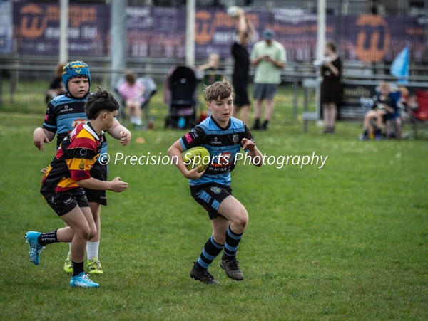 Wildboars Festival 26.4.26