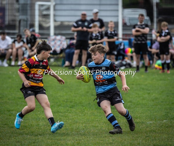 Wildboars Festival 26.4.26