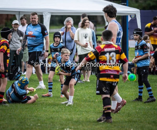 Wildboars Festival 26.4.26