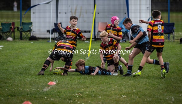 Wildboars Festival 26.4.26