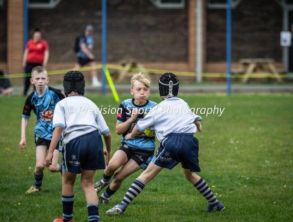 Wildboars Festival 26.4.26