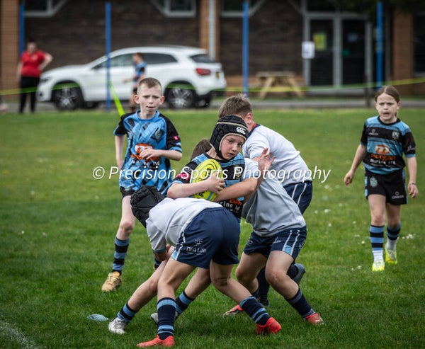 Wildboars Festival 26.4.26