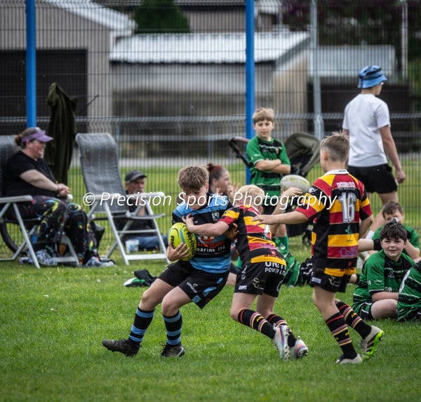 Wildboars Festival 26.4.26