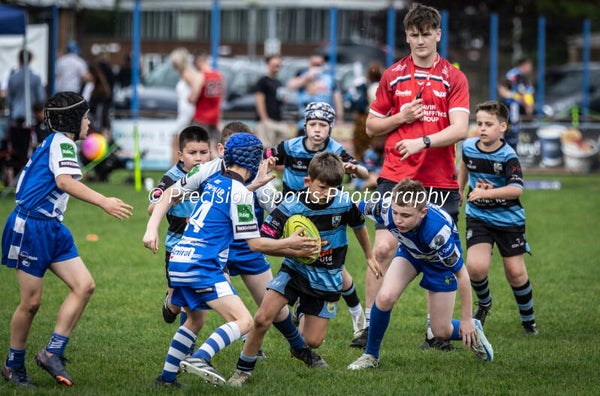 Wildboars Festival 26.4.26