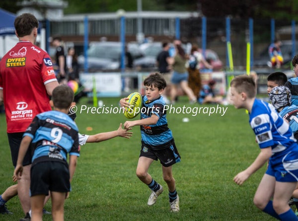 Wildboars Festival 26.4.26