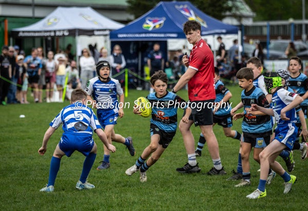 Wildboars Festival 26.4.26