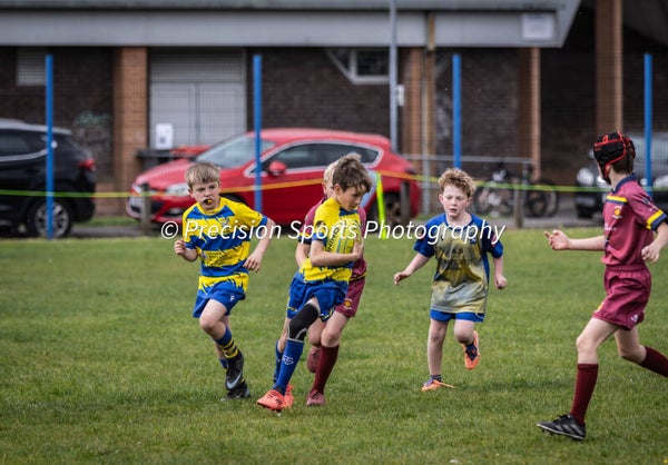 Wildboars Festival 26.4.26