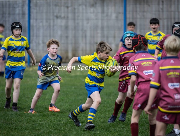 Wildboars Festival 26.4.26