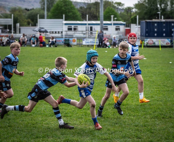 Wildboars Festival 26.4.26