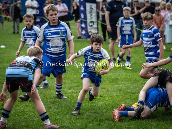 Wildboars Festival 26.4.26