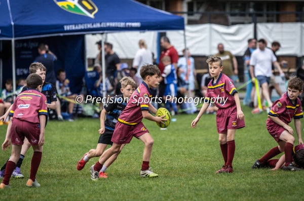 Wildboars Festival 26.4.26