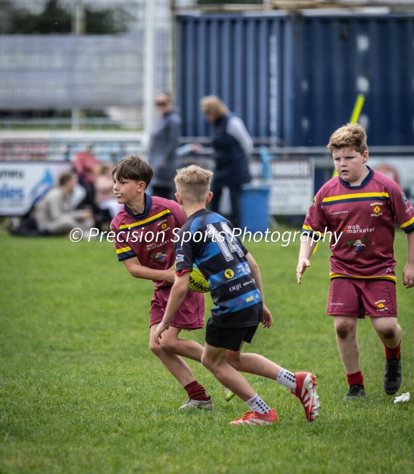 Wildboars Festival 26.4.26