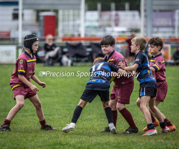 Wildboars Festival 26.4.26