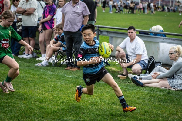 Wildboars Festival 26.4.26
