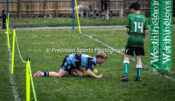 Wildboars Festival 26.4.26