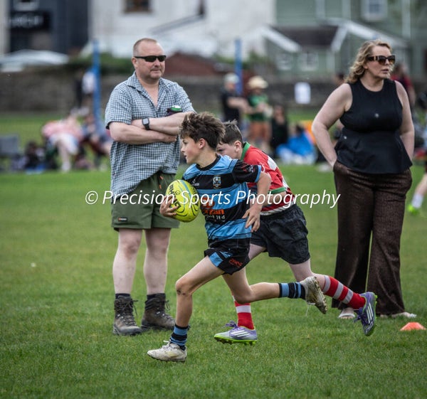 Wildboars Festival 26.4.26