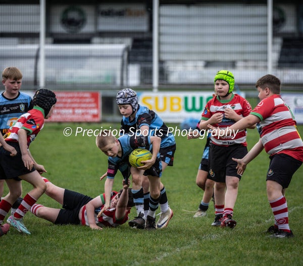 Wildboars Festival 26.4.26