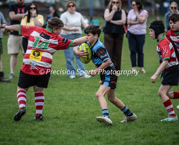 Wildboars Festival 26.4.26