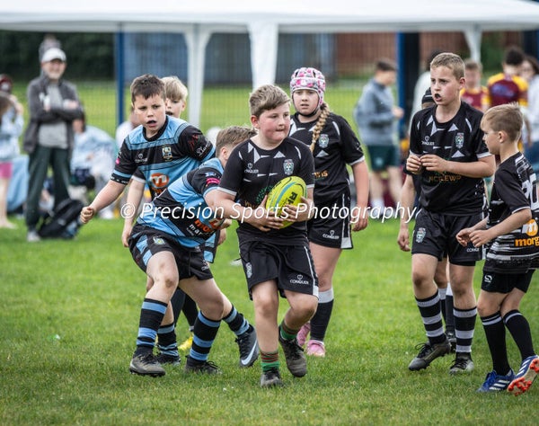 Wildboars Festival 26.4.26