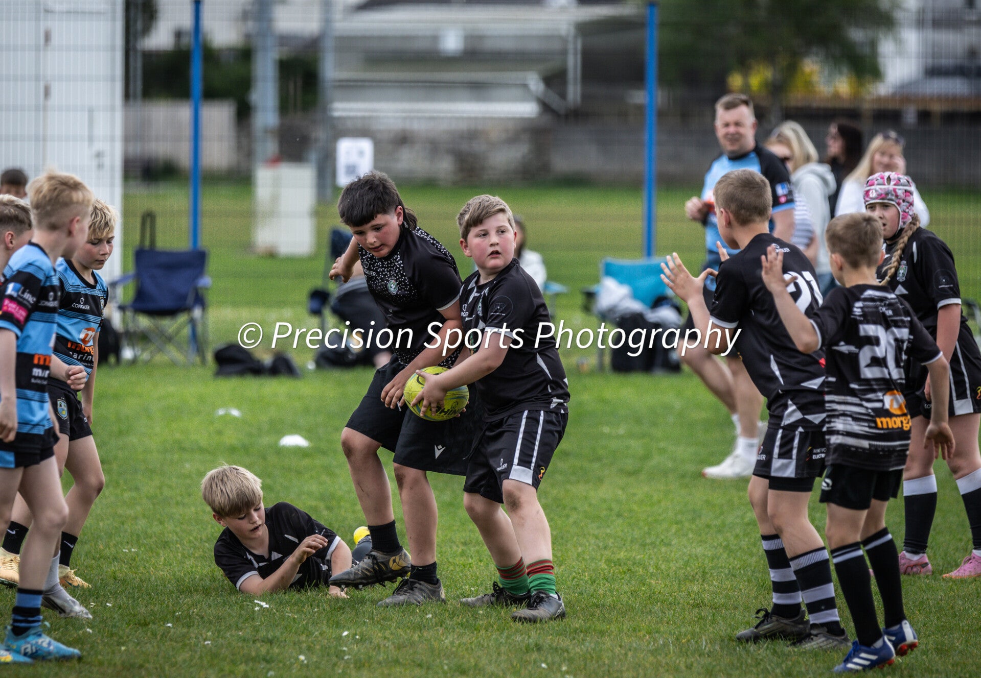 Wildboars Festival 26.4.26