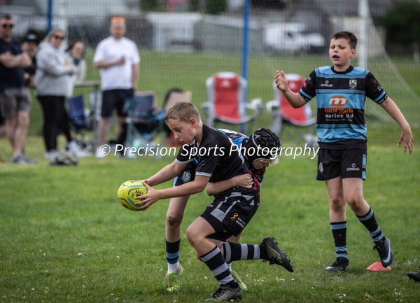 Wildboars Festival 26.4.26