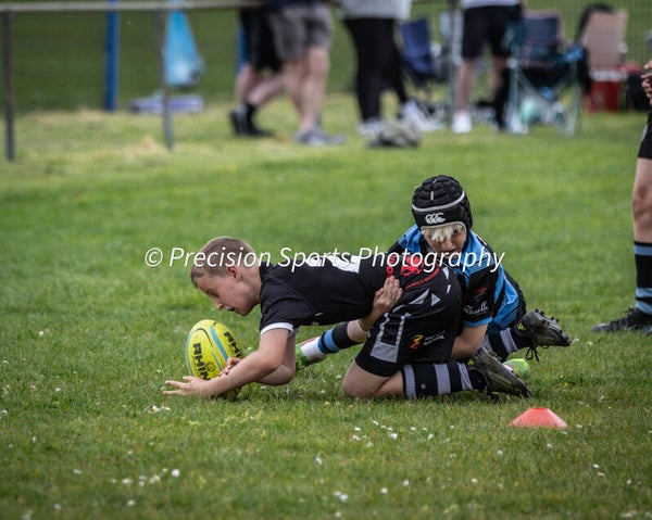 Wildboars Festival 26.4.26