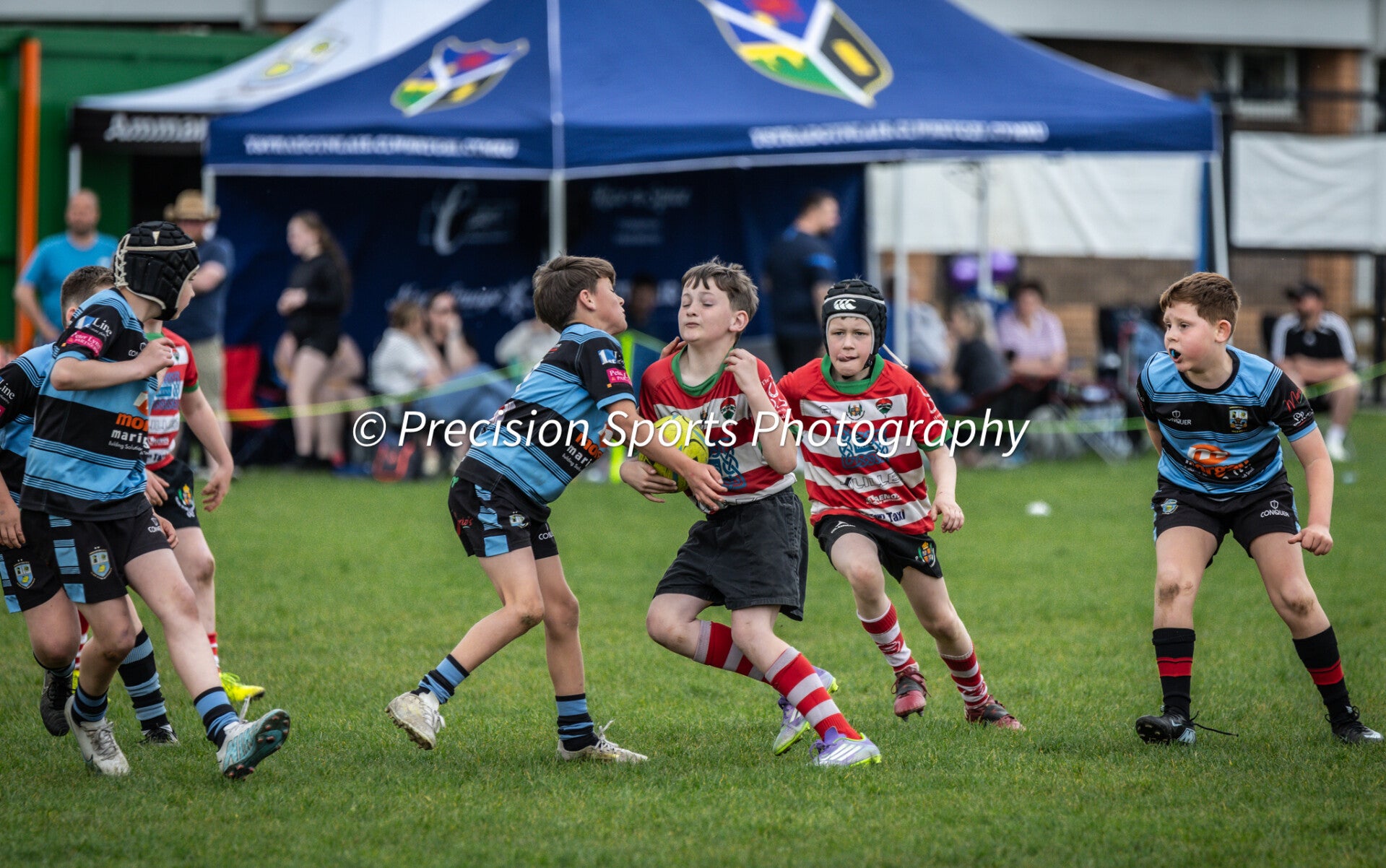 Wildboars Festival 26.4.26