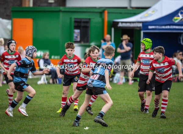 Wildboars Festival 26.4.26